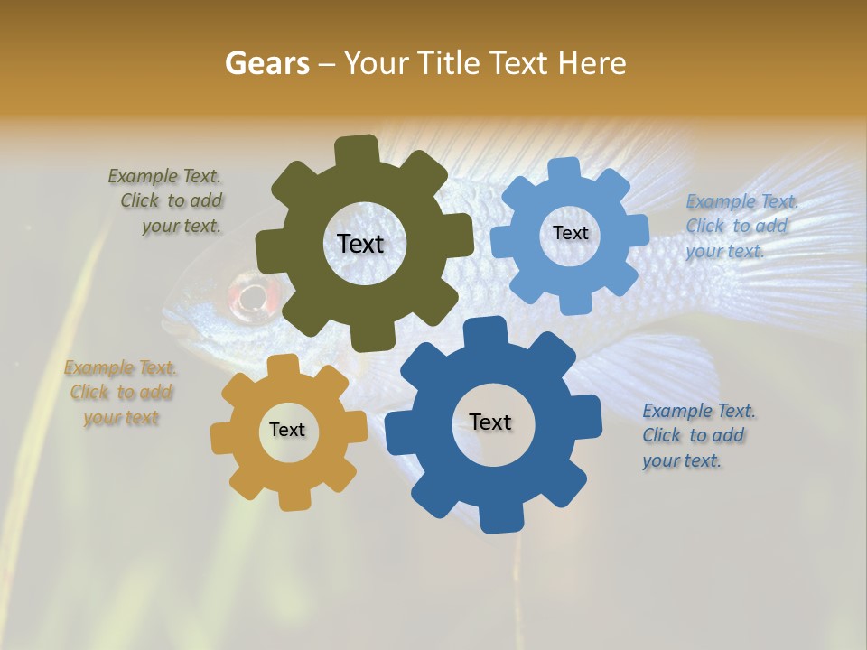 Mikrogeophagus German Fish PowerPoint Template