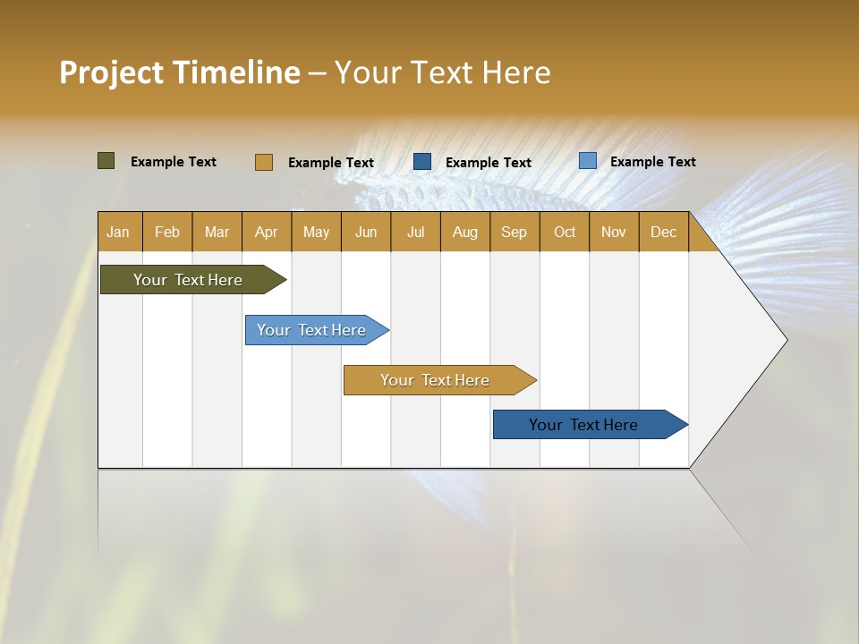 Mikrogeophagus German Fish PowerPoint Template