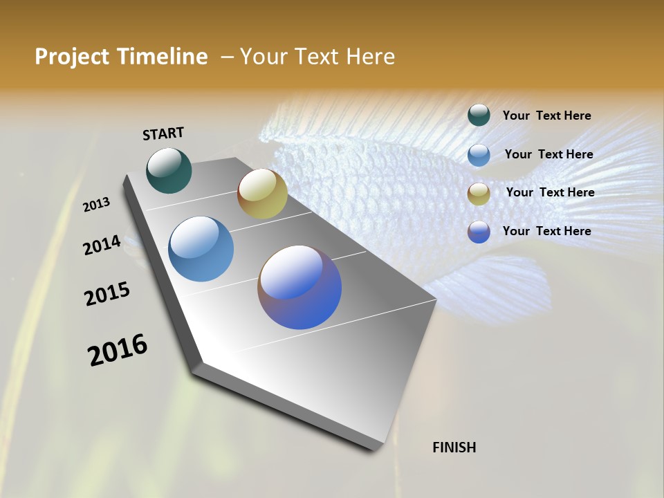 Mikrogeophagus German Fish PowerPoint Template