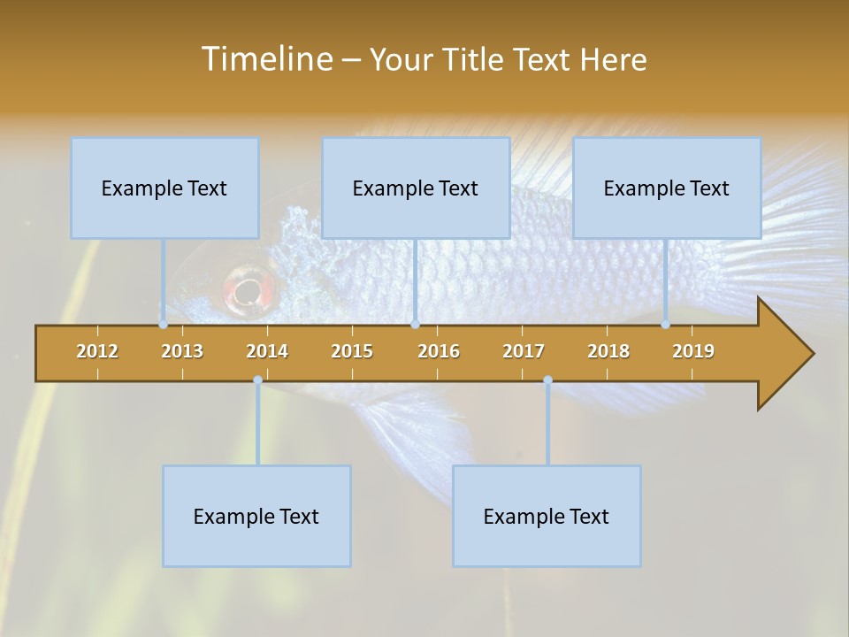 Mikrogeophagus German Fish PowerPoint Template
