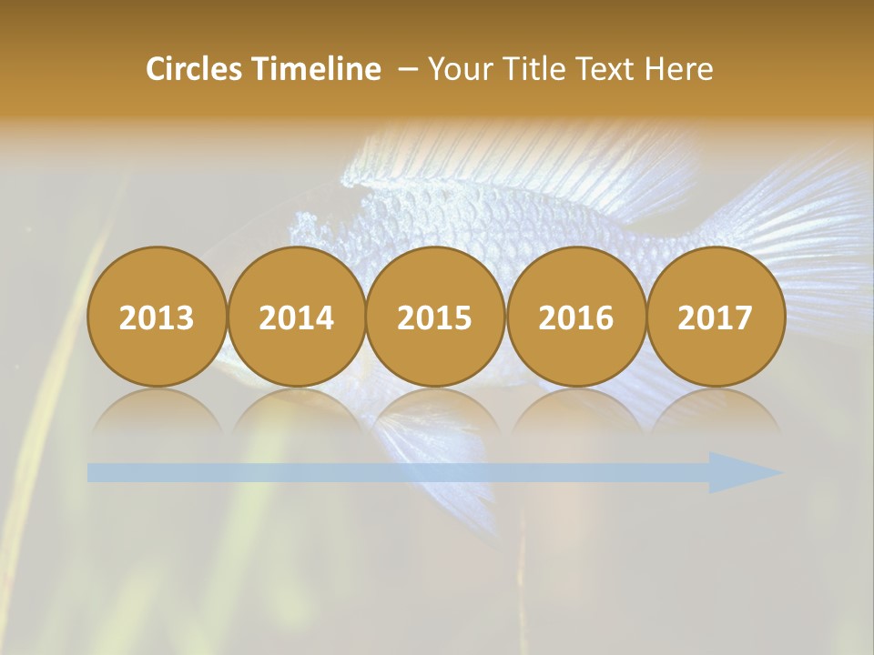 Mikrogeophagus German Fish PowerPoint Template