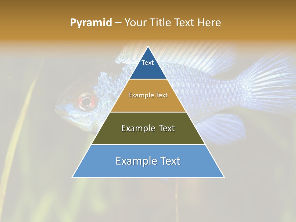 Mikrogeophagus German Fish PowerPoint Template