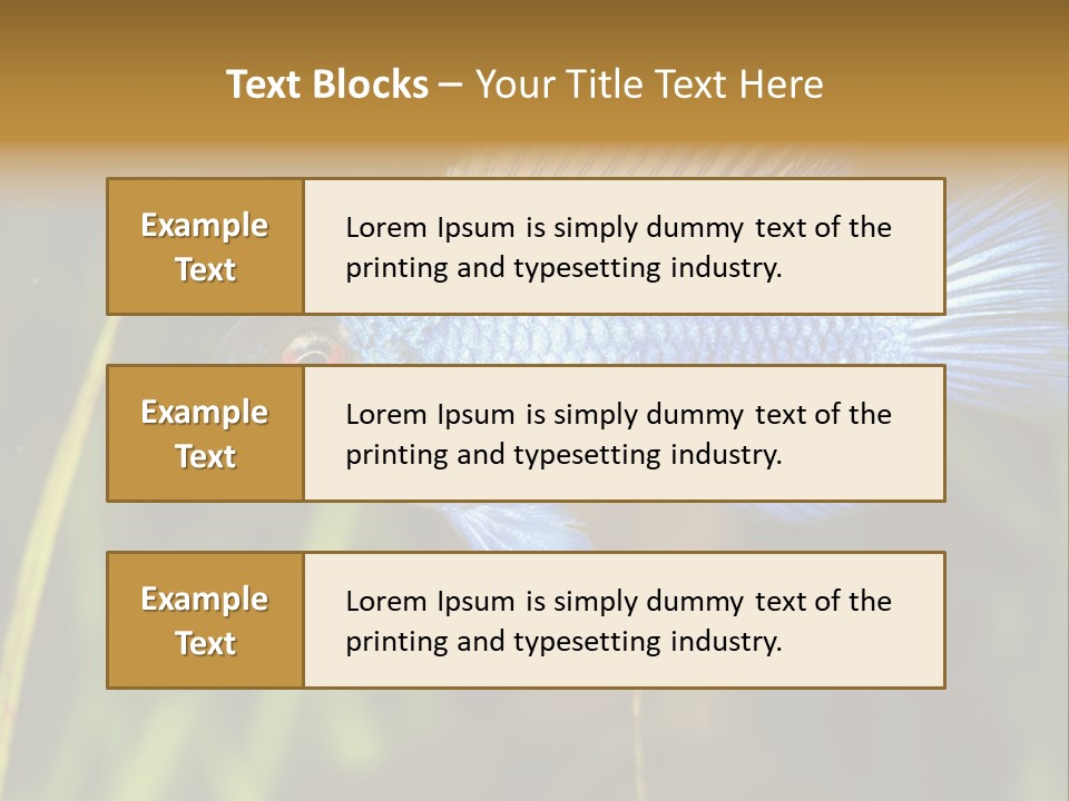 Mikrogeophagus German Fish PowerPoint Template