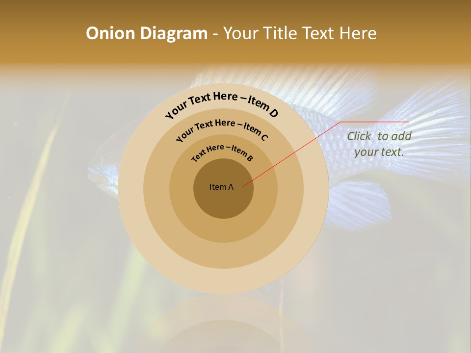 Mikrogeophagus German Fish PowerPoint Template