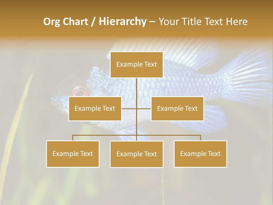 Mikrogeophagus German Fish PowerPoint Template