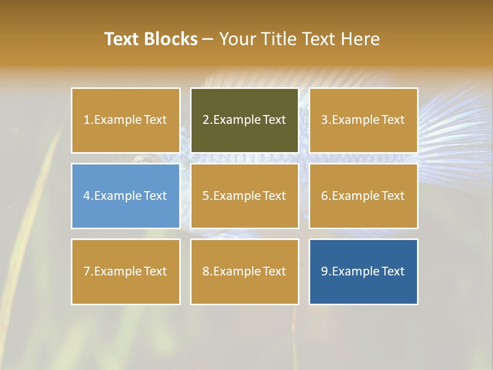 Mikrogeophagus German Fish PowerPoint Template