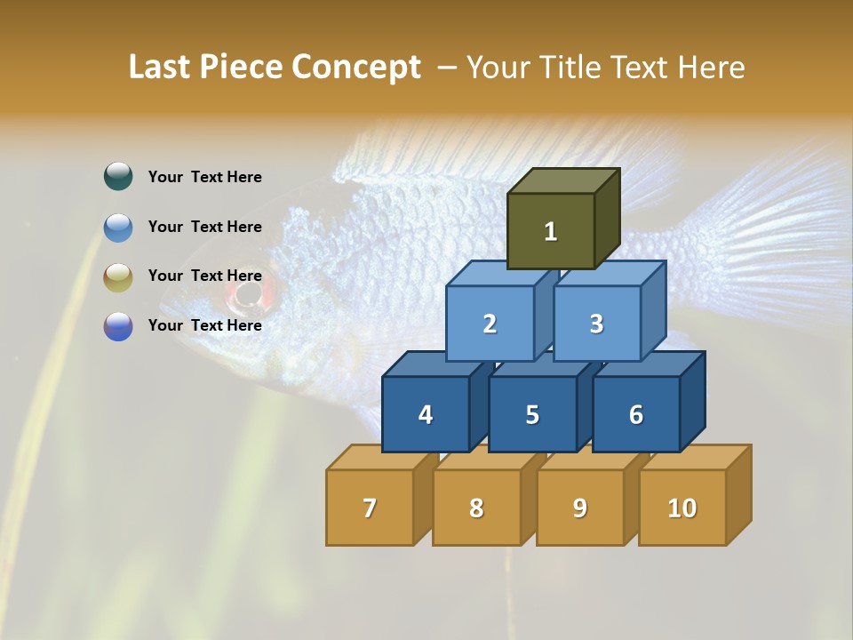 Mikrogeophagus German Fish PowerPoint Template