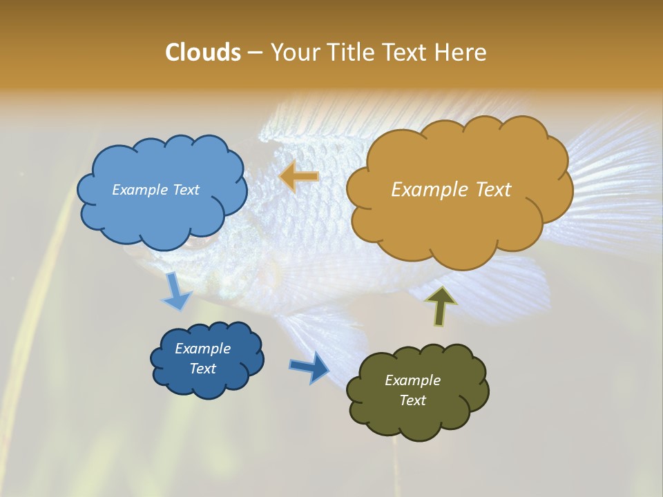 Mikrogeophagus German Fish PowerPoint Template