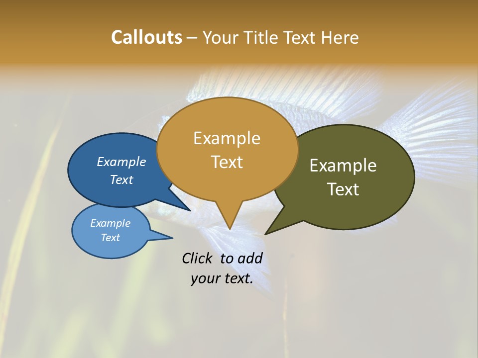 Mikrogeophagus German Fish PowerPoint Template