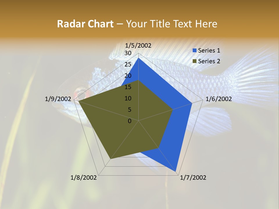 Mikrogeophagus German Fish PowerPoint Template