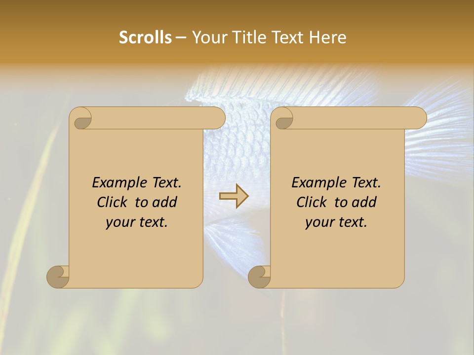 Mikrogeophagus German Fish PowerPoint Template