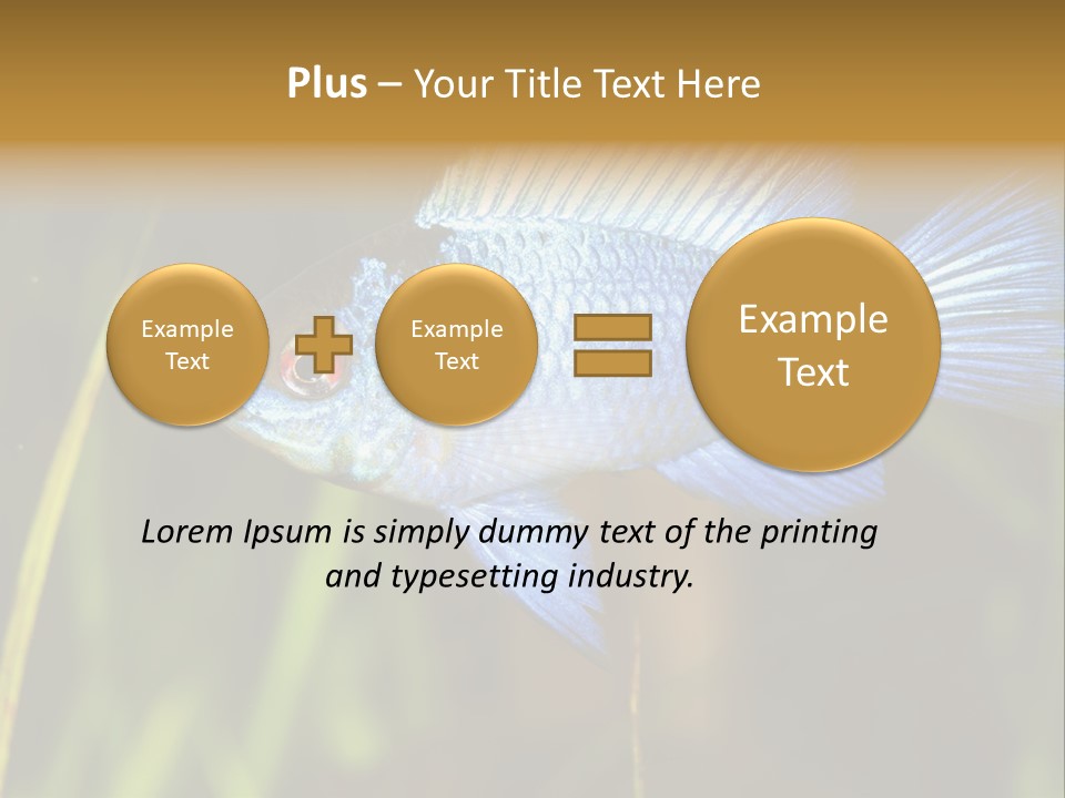 Mikrogeophagus German Fish PowerPoint Template