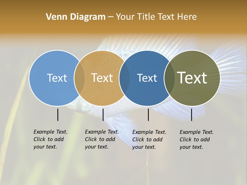 Mikrogeophagus German Fish PowerPoint Template