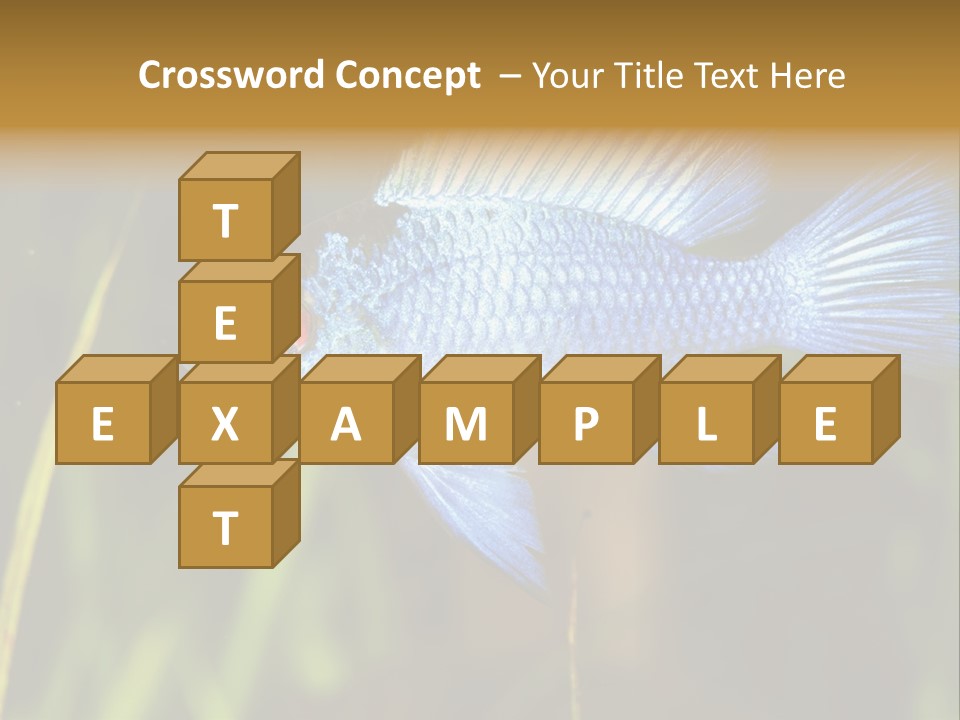 Mikrogeophagus German Fish PowerPoint Template