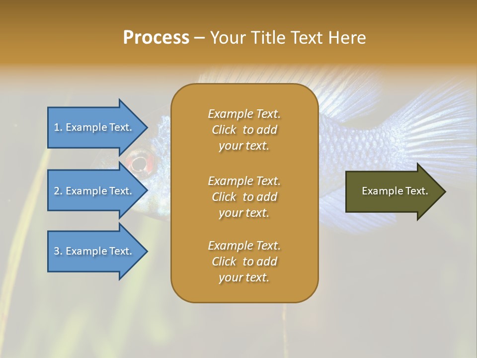 Mikrogeophagus German Fish PowerPoint Template