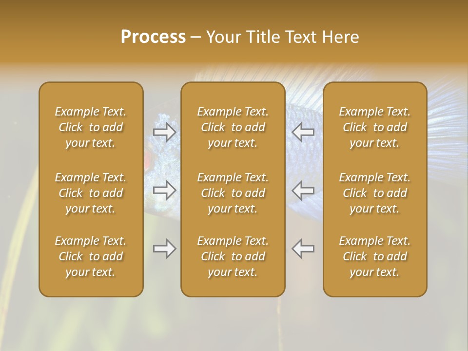 Mikrogeophagus German Fish PowerPoint Template