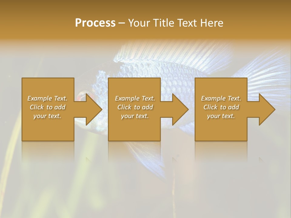 Mikrogeophagus German Fish PowerPoint Template