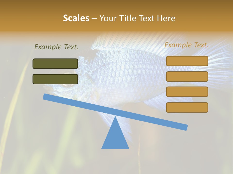 Mikrogeophagus German Fish PowerPoint Template
