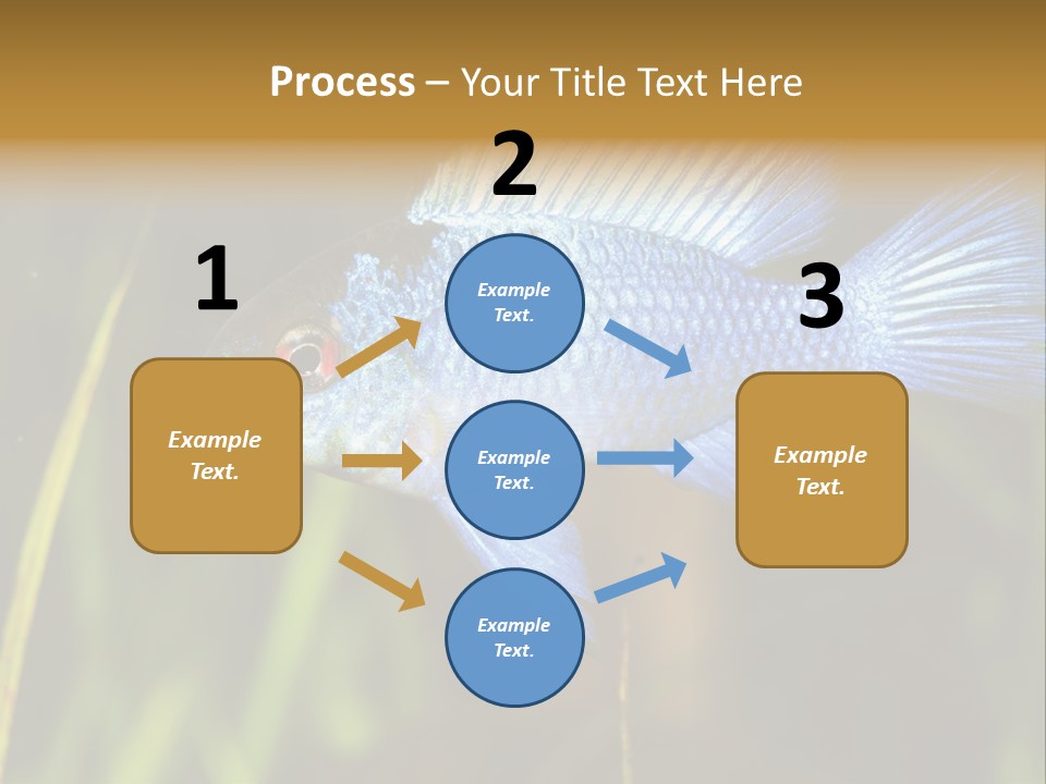 Mikrogeophagus German Fish PowerPoint Template