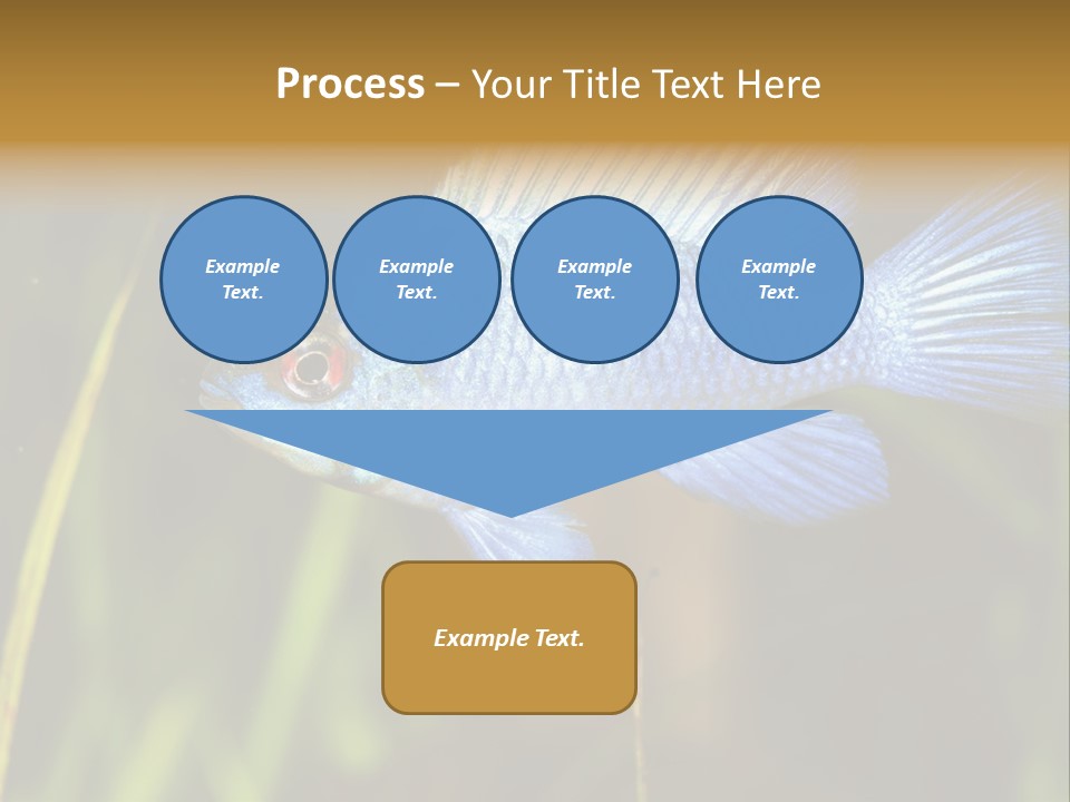 Mikrogeophagus German Fish PowerPoint Template