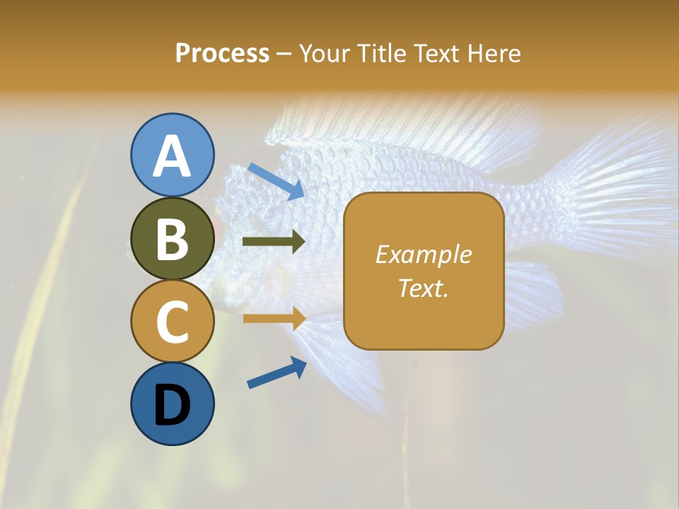 Mikrogeophagus German Fish PowerPoint Template