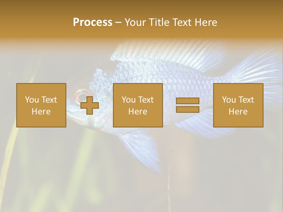 Mikrogeophagus German Fish PowerPoint Template