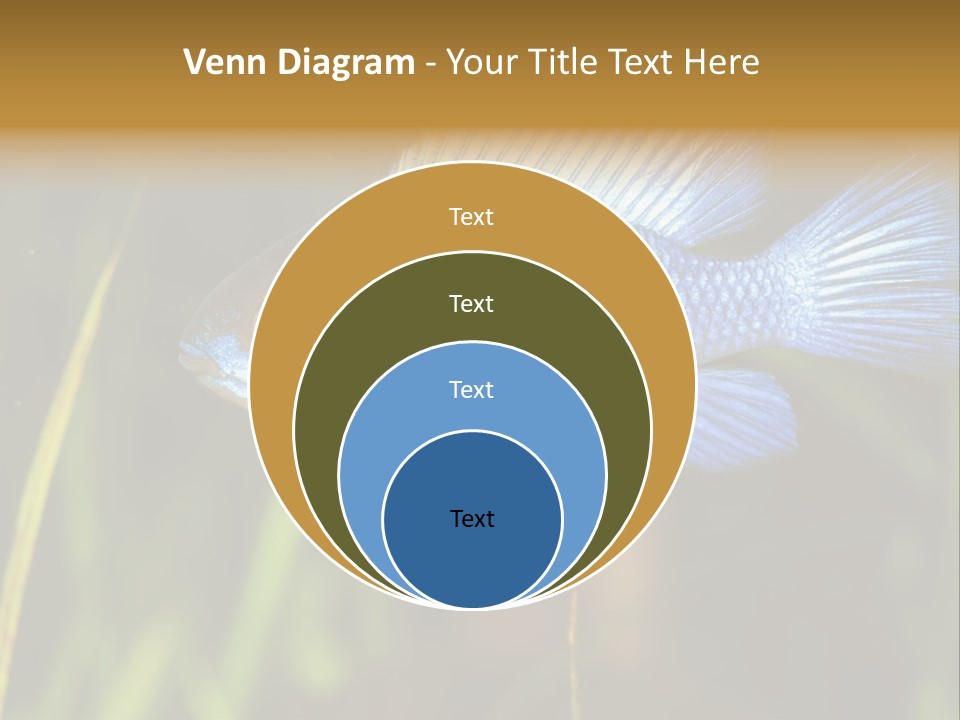 Mikrogeophagus German Fish PowerPoint Template