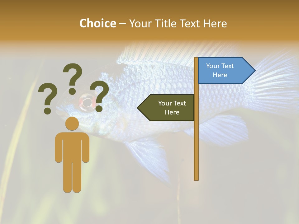 Mikrogeophagus German Fish PowerPoint Template