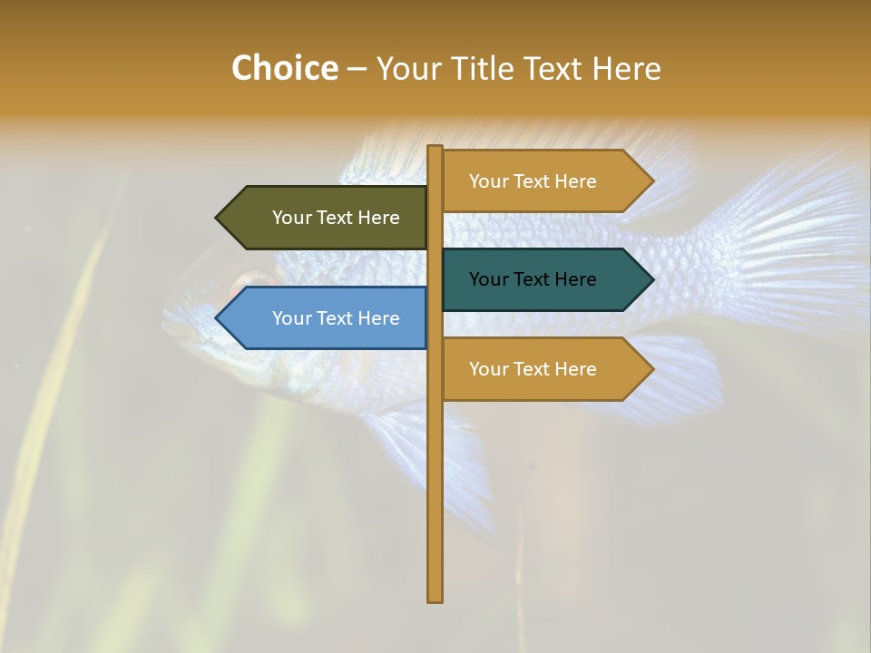 Mikrogeophagus German Fish PowerPoint Template