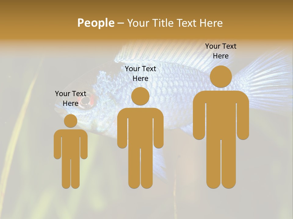 Mikrogeophagus German Fish PowerPoint Template