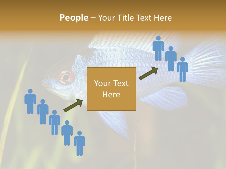 Mikrogeophagus German Fish PowerPoint Template