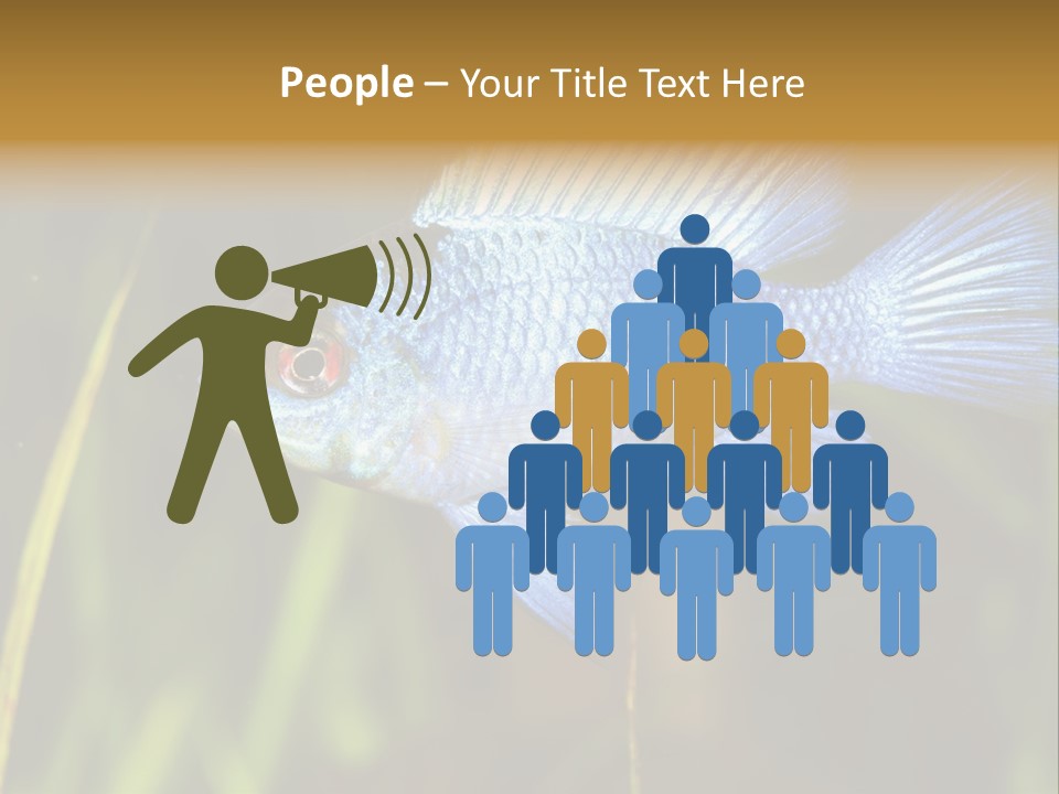 Mikrogeophagus German Fish PowerPoint Template