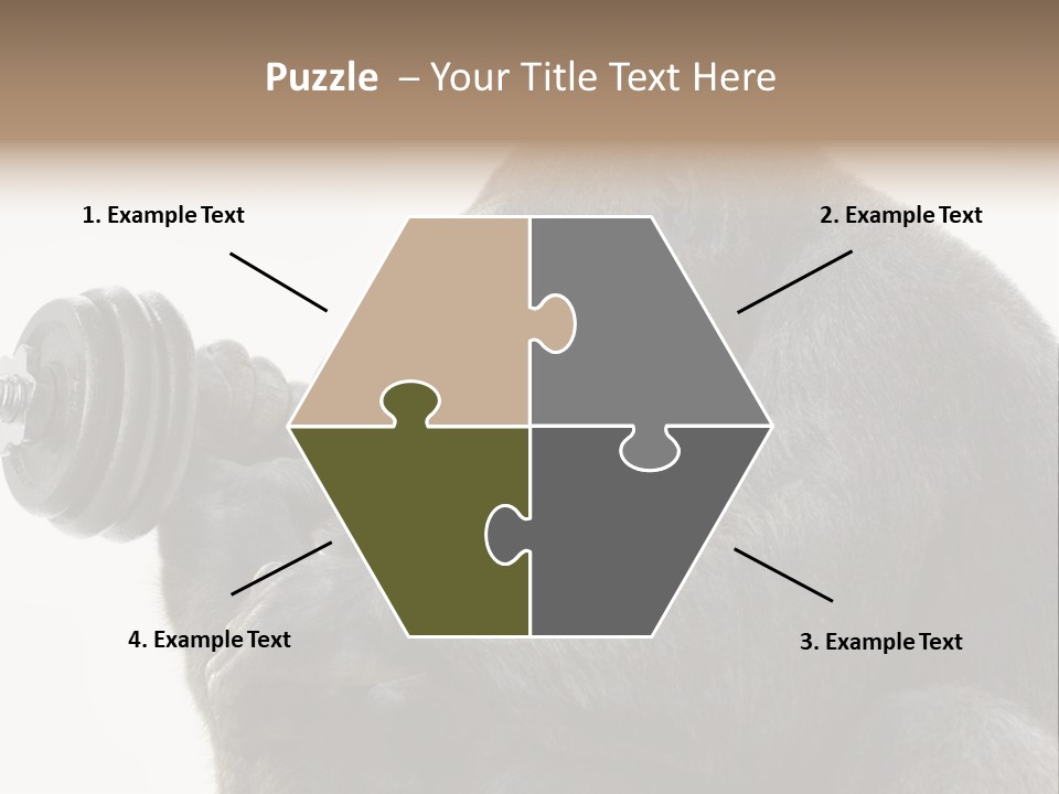 Action Barbell Species PowerPoint Template