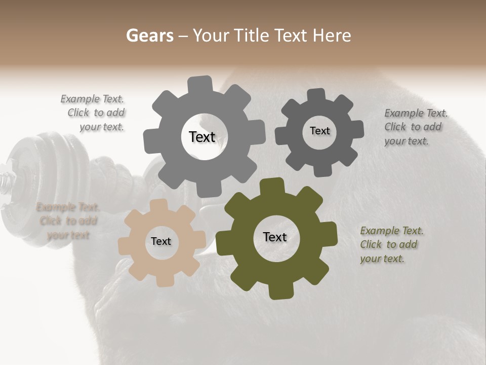 Action Barbell Species PowerPoint Template