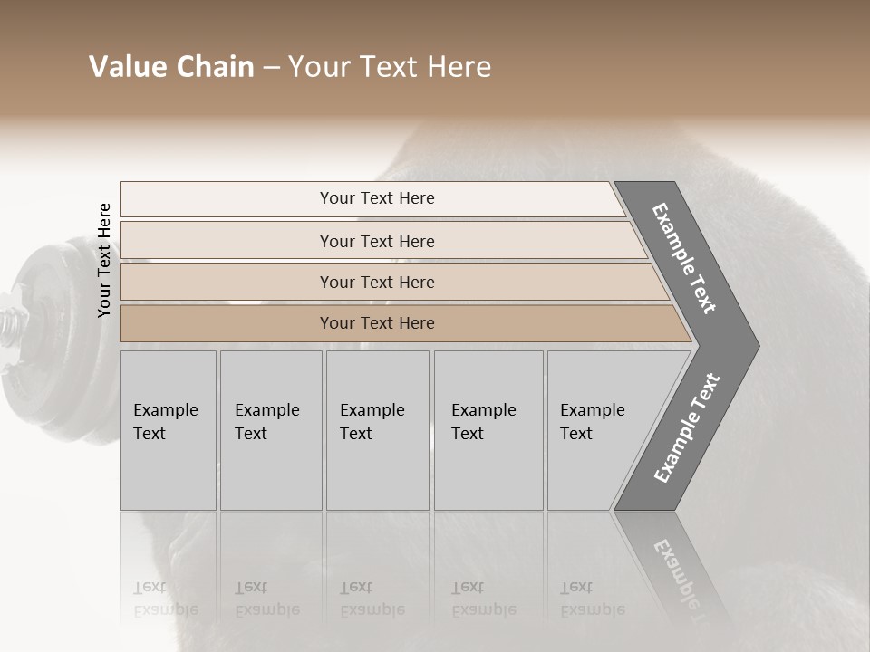 Action Barbell Species PowerPoint Template
