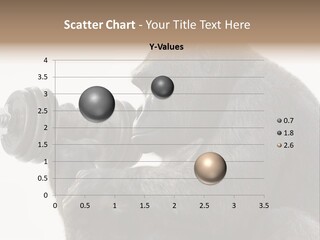 Action Barbell Species PowerPoint Template