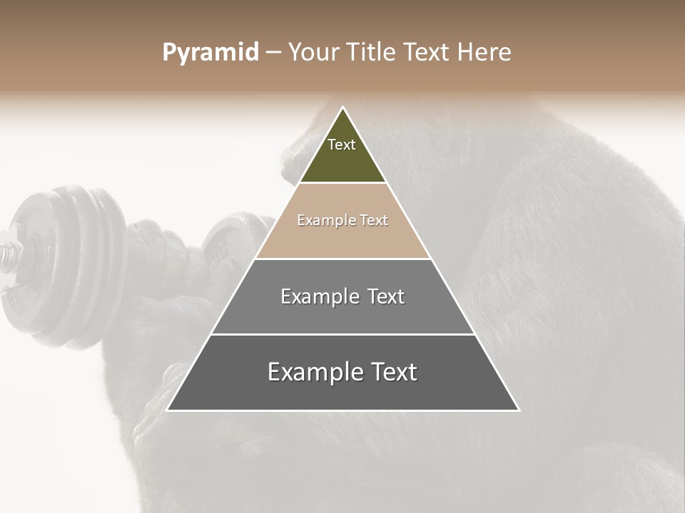 Action Barbell Species PowerPoint Template