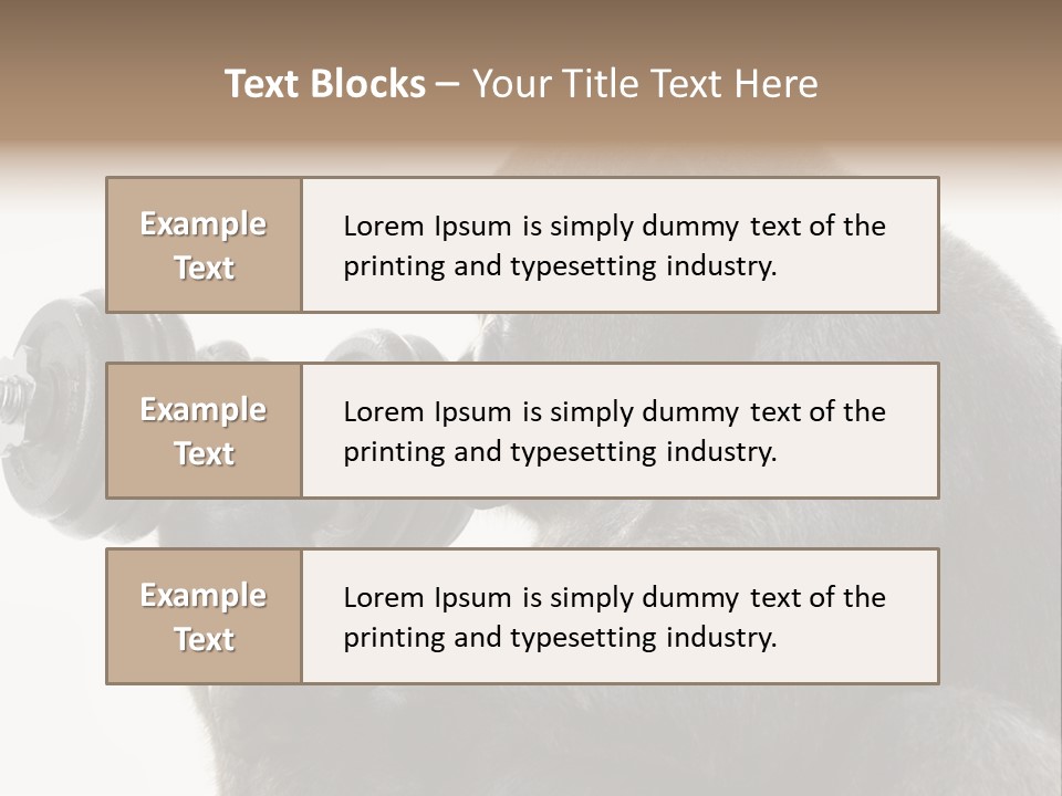 Action Barbell Species PowerPoint Template
