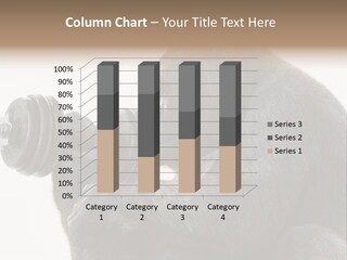 Action Barbell Species PowerPoint Template