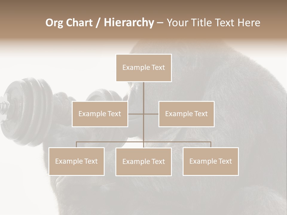 Action Barbell Species PowerPoint Template