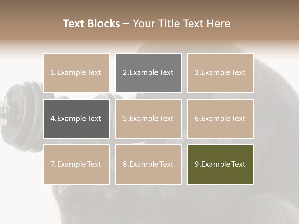 Action Barbell Species PowerPoint Template