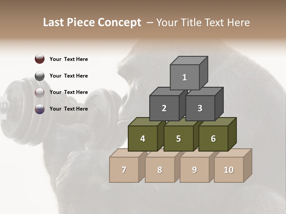 Action Barbell Species PowerPoint Template