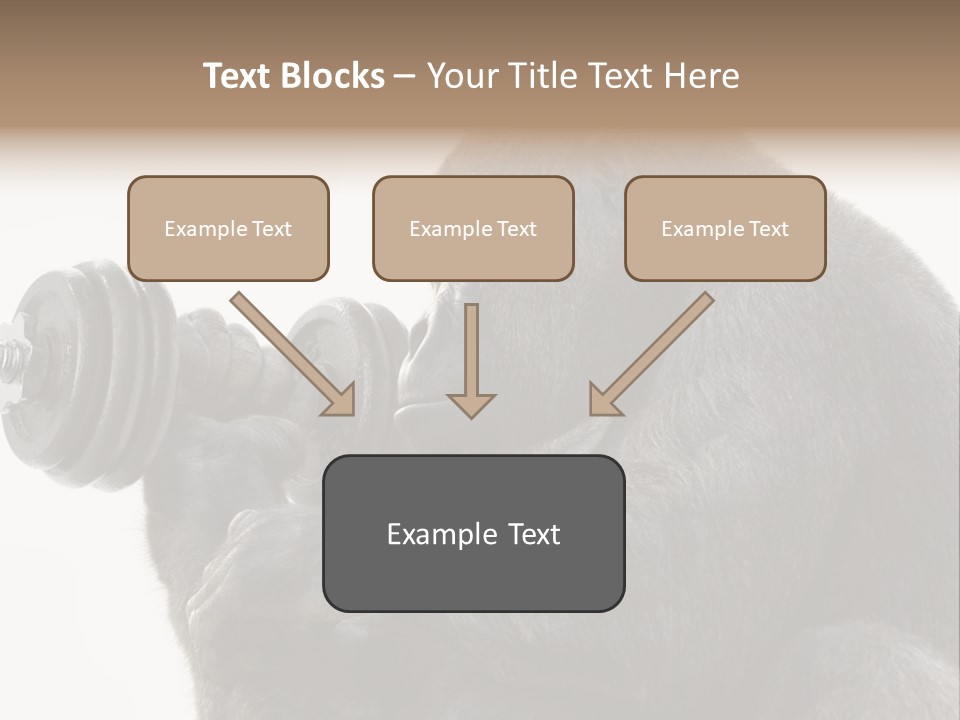 Action Barbell Species PowerPoint Template