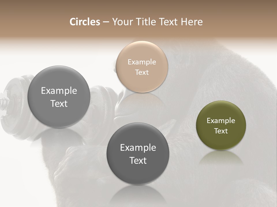 Action Barbell Species PowerPoint Template