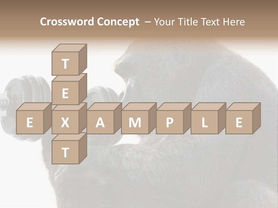 Action Barbell Species PowerPoint Template