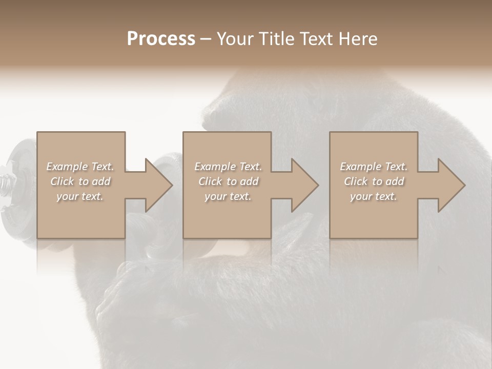 Action Barbell Species PowerPoint Template
