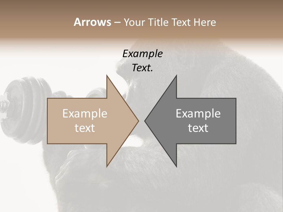 Action Barbell Species PowerPoint Template