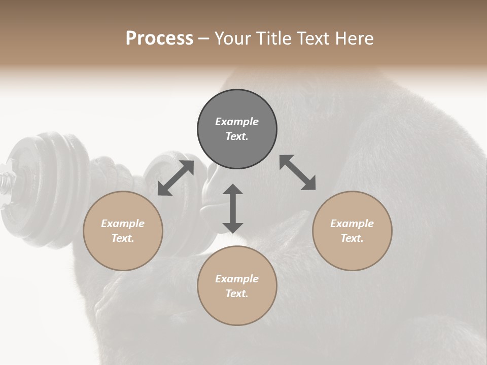 Action Barbell Species PowerPoint Template
