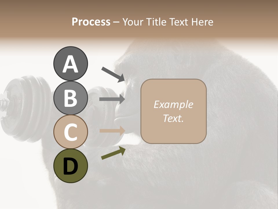 Action Barbell Species PowerPoint Template