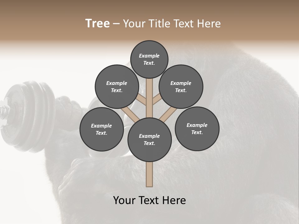 Action Barbell Species PowerPoint Template